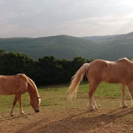 B&B Ca Montemezzano Верона Екстериор снимка