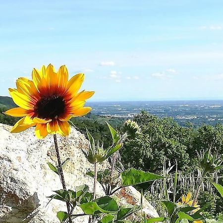 B&B Ca Montemezzano Верона Екстериор снимка