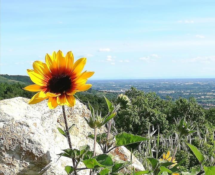 B&B Ca Montemezzano Верона Екстериор снимка