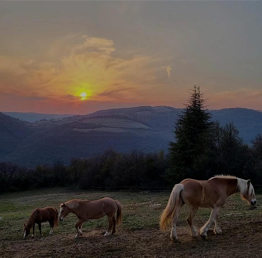 B&B Ca Montemezzano Верона Екстериор снимка